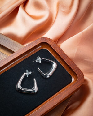 Hook Earrings