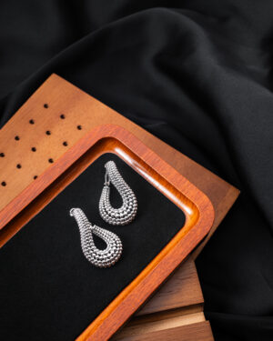 Snake Curve Earring